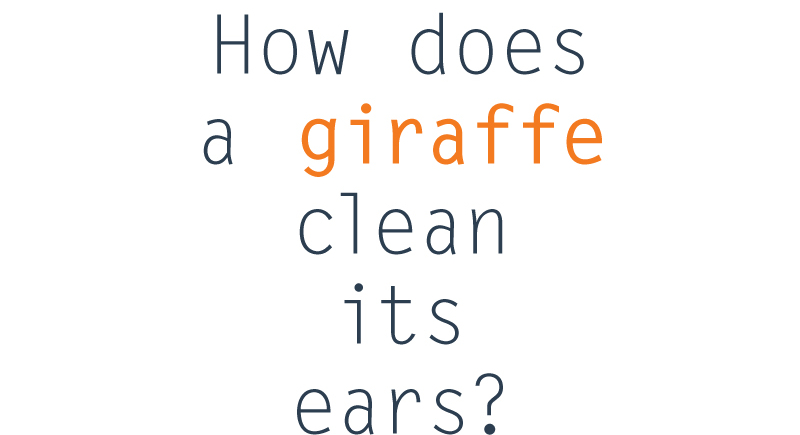 FunFactFriday-Giraffe