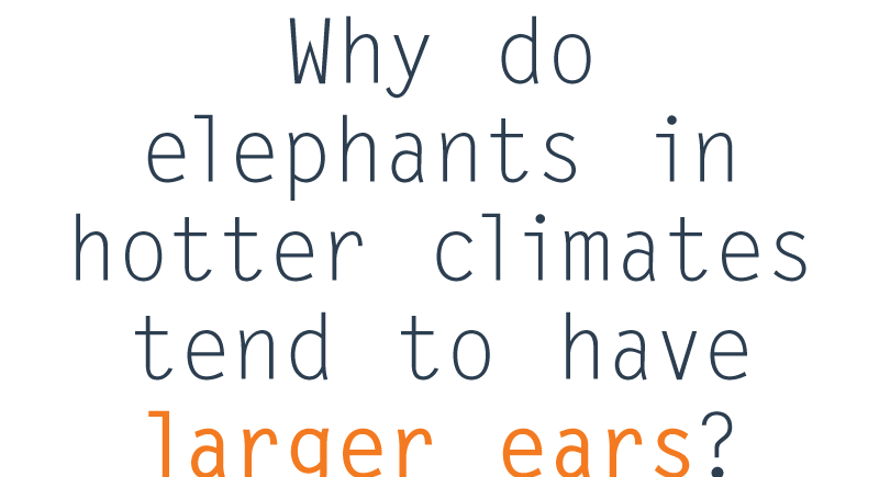 FunFactFriday-elephants-ears